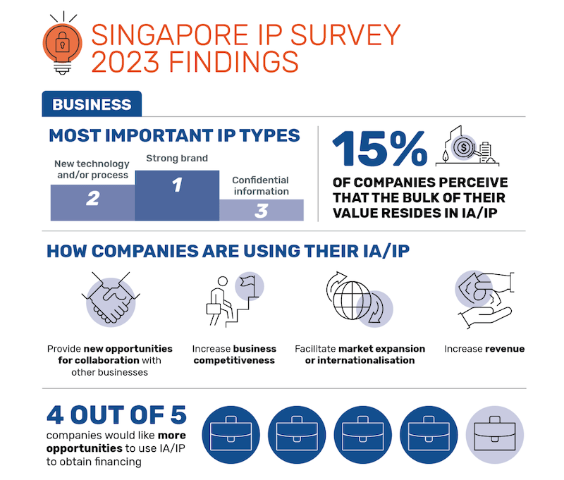 IP Survey 2023 findings